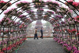 Khai mạc lễ hội hoa Xuân tại vùng trồng hoa lớn nhất miền Bắc