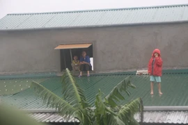 Khu vực từ Nghệ An đến Khánh Hòa chủ động ứng phó với bão số 10 