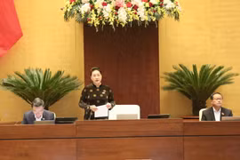 Bảo đảm tính thống nhất của hệ thống pháp luật về phòng, chống ma túy