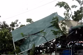 Cây to bật gốc ngã đổ, nhiều mái tôn tại nhà dân bị gió cuốn phăng. (Ảnh: Lê Ngọc Phước/TTXVN)