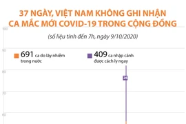 [Infographics] 37 ngày, Việt Nam không có ca mắc mới trong cộng đồng