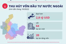 Vốn FDI vào Bình Dương năm 2022 dự kiến vượt 1,6 lần, đạt 2,8 tỷ USD