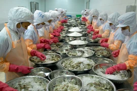 Kiểm soát chất lượng hàng hóa ngay từ gốc để đẩy mạnh xuất khẩu (Ảnh: TTXVN)