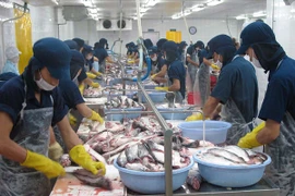 Bộ Công Thương sẽ đẩy mạnh đàm phán các FTA để mở rộng thị trường cho, tạo đầu ra cho hàng nông, thủy sản (Ảnh: TTXVN)