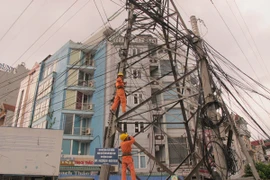Tình trạng vi phạm hành lang an toàn lưới điện cao áp vẫn diễn ra phổ biến trên địa bàn Hà Nội (Ảnh: Đức Duy/Vietnam+)