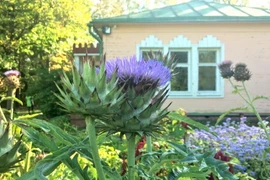 Một điền trang của Nga. (Nguồn: Moscow Times)