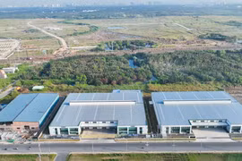 (Ảnh minh họa: TTXVN phát)