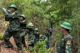 Các cán bộ, chiến sỹ hỗ trợ Tổng công ty Truyền tải điện Quốc gia hoàn thành công trình đúng tiến độ. (Ảnh: Văn Tý/TTXVN)