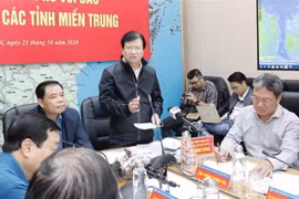 Phó Thủ tướng Trịnh Đình Dũng phát biểu tại hội nghị. (Ảnh: Trần Việt/TTXVN)