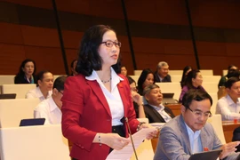 Đại biểu Quốc hội thành phố Hà Nội GS.TS Nguyễn Thị Lan, Giám đốc Học viện Nông nghiệp Việt Nam, phát biểu ý kiến tại phiên thảo luận về kế hoạch phát triển kinh tế - xã hội và ngân sách nhà nước năm 2020. (Ảnh: Doãn Tấn/TTXVN)