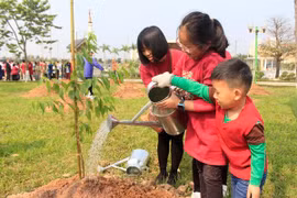 Ảnh minh họa. (Nguồn: TTXVN)