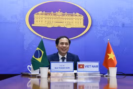 Thứ trưởng Thường trực Bộ Ngoại giao Bùi Thanh Sơn. (Nguồn: Hanoi TV)