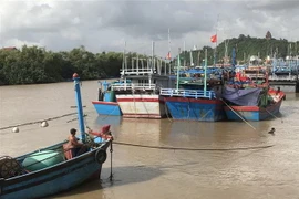 Ngư dân thành phố Tuy Hòa, Phú Yên neo đậu tàu thuyền tránh trú bão. (Ảnh: Phạm Cường/TTXVN)