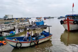 Tàu, thuyền của ngư dân neo đậu tránh bão. (Ảnh: Thanh Vân/TTXVN)