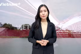 [Video] Lái xe gây tai nạn, xử phạt cả trung tâm đào tạo?