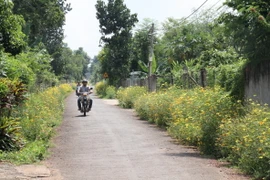 Tuyến đường xanh, sạch, đẹp tại xã Xuân Trường, huyện Xuân Lộc. (Ảnh: Thìn Nguyễn/Vietnam+)