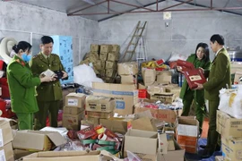 Đoàn kiểm tra liên ngành kiểm tra kho hàng hóa nghi nhập lậu. (Ảnh: Trần Trang/TTXVN)