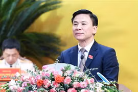 Ông Đỗ Trọng Hưng. (Ảnh: Trịnh Duy Hưng/TTXVN)