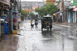 Ảnh minh họa. (Nguồn: TTXVN)