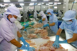 Chế biến cá tra xuất khẩu tại Công ty TNHH Thủy sản Biển Đông (thành phố Cần Thơ). (Ảnh: Thanh Liêm/TTXVN)