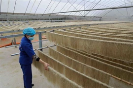 Miến dong - sản phẩm OCOP 4 sao đầu tiên của Bắc Kạn được xuất khẩu sang Cộng hòa Séc. (Nguồn: TTXVN)