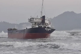 Tàu Nam Khánh va trúng đá ngầm bị vỡ mũi tàu, mắc cạn ở bờ biển Đề Gi, Bình Định. (Ảnh: Nguyên Linh/TTXVN)