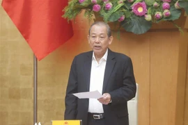 Phó Thủ tướng Thường trực Chính phủ Trương Hòa Bình phát biểu. (Ảnh: Doãn Tấn/TTXVN)