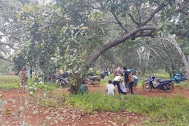 Lực lượng chức năng tổ chức khám nghiệm hiện trường vụ án. (Ảnh: Đậu Tất Thành/TTXVN)