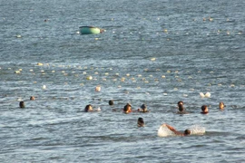 'Trận địa lưới' bao vây du khách tắm biển Bình Sơn-Ninh Chữ. (Ảnh: Nguyễn Thành – TTXVN)