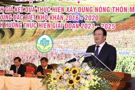 Phó Thủ tướng Chính phủ Trịnh Đình Dũng phát biểu tại Hội nghị. (Ảnh: Tuấn Anh/TTXVN)