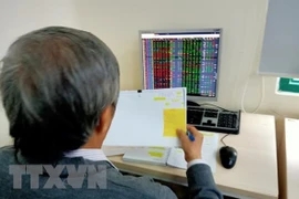 Ảnh minh họa. (Nguồn: TTXVN)