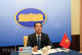 Thứ trưởng Bộ Ngoại giao Tô Anh Dũng. (Ảnh: TTXVN)