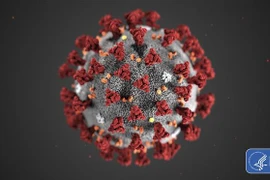 Hình ảnh minh họa virus SARS-CoV-2 gây bệnh viêm đường hô hấp cấp COVID-19. (Ảnh: AFP/TTXVN)