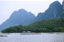 Cảnh quan hùng vĩ trên hồ Hòa Bình. (Ảnh: Trọng Đạt/TTXVN)