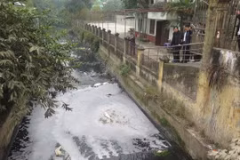 Ảnh minh họa. (Nguồn: TTXVN)