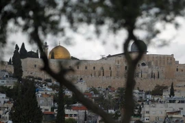 Palestine thúc LHQ hành động chấm dứt bạo lực ở Đông Jerusalem