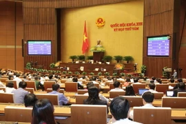 Kỳ họp thứ tám Quốc hội khóa XIII: Ấn tượng “Diên Hồng”