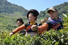 Nhiệt độ miền Bắc tăng nhẹ, Nam Biển Đông đề phòng lốc xoáy