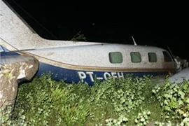 Cảnh sát Brazil phá hai đường dây buôn lậu ma túy quốc tế