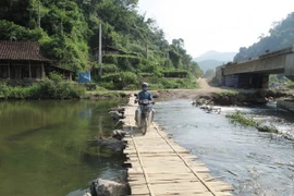 Thanh Hóa phấn đấu hoàn thành xây 22 cầu treo trước mưa bão