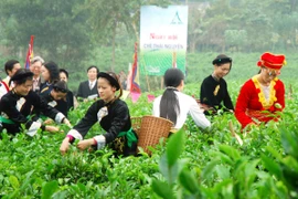 Thái Nguyên sớm thành trung tâm vùng trung du miền núi Bắc Bộ 