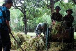Lực lượng vũ trang Quảng Ngãi chung tay xóa đói, giảm nghèo