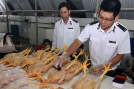 Ảnh minh họa. (Nguồn: TTXVN)