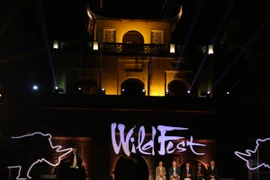 WildFest, lễ hội chiếu phim và ca nhạc ngoài trời về động vật hoang dã đầu tiên tại Việt Nam. (Ảnh: PV/Vietnam+)