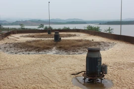 Cơ sở gây ô nhiễm môi trường nghiêm trọng sẽ phải di dời và bị công khai trên mạng. (Ảnh: Hùng Võ/Vietnam+)