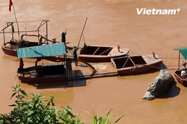Hoạt động khai thác cát trái phép diễn ra công khai, rầm rộ ngay giữa ban ngày. (Ảnh: Hùng Võ/Vietnam+)
