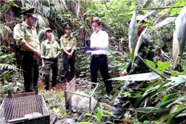 Chặn đà suy giảm đa dạng sinh học: Cần lập cơ chế liên kết quản lý