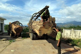 Ảnh minh họa. (Nguồn: TTXVN)