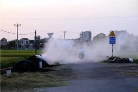 Đốt rơm rạ sau thu hoạch gây ô nhiễm môi trường tại Hải Dương. (Nguồn ảnh: TTXVN)