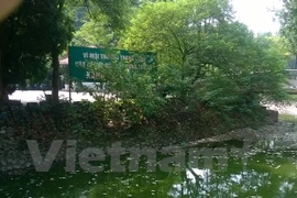 Hà Nội: “Chưa loại bỏ chức năng chứa nước thải thì hồ vẫn chết” 